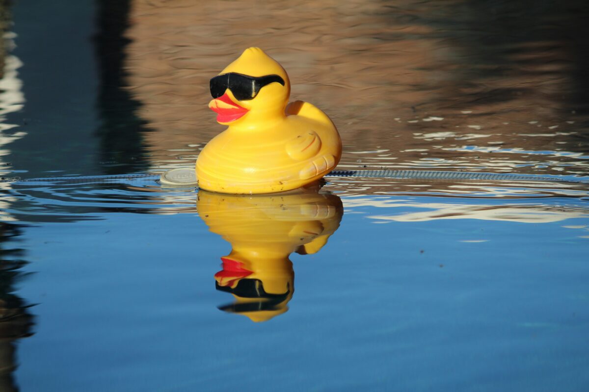The crazy duck race returns to Stockport village