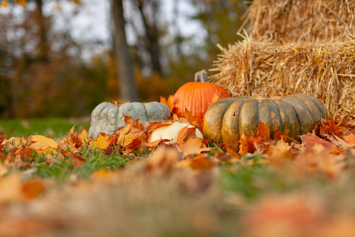 October is here to haunt you